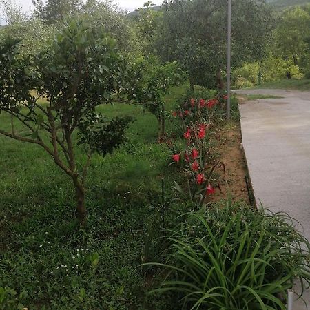 Apartman Petovic Kotor Luaran gambar