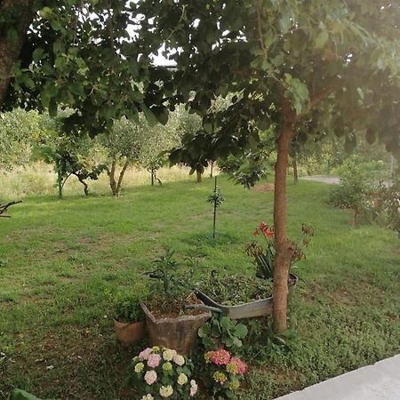 Apartman Petovic Kotor Luaran gambar