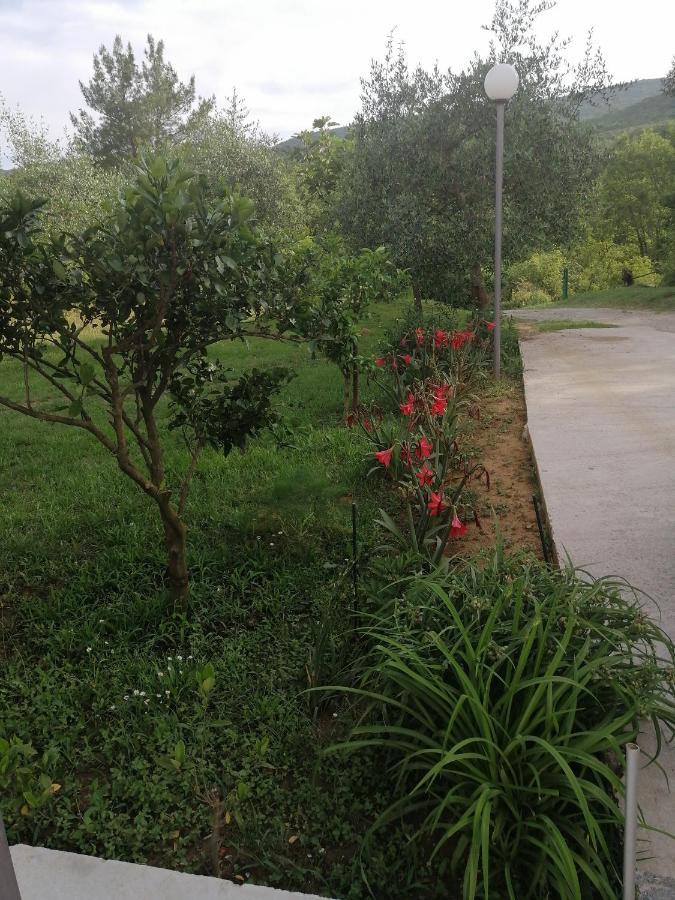 Apartman Petovic Kotor Luaran gambar