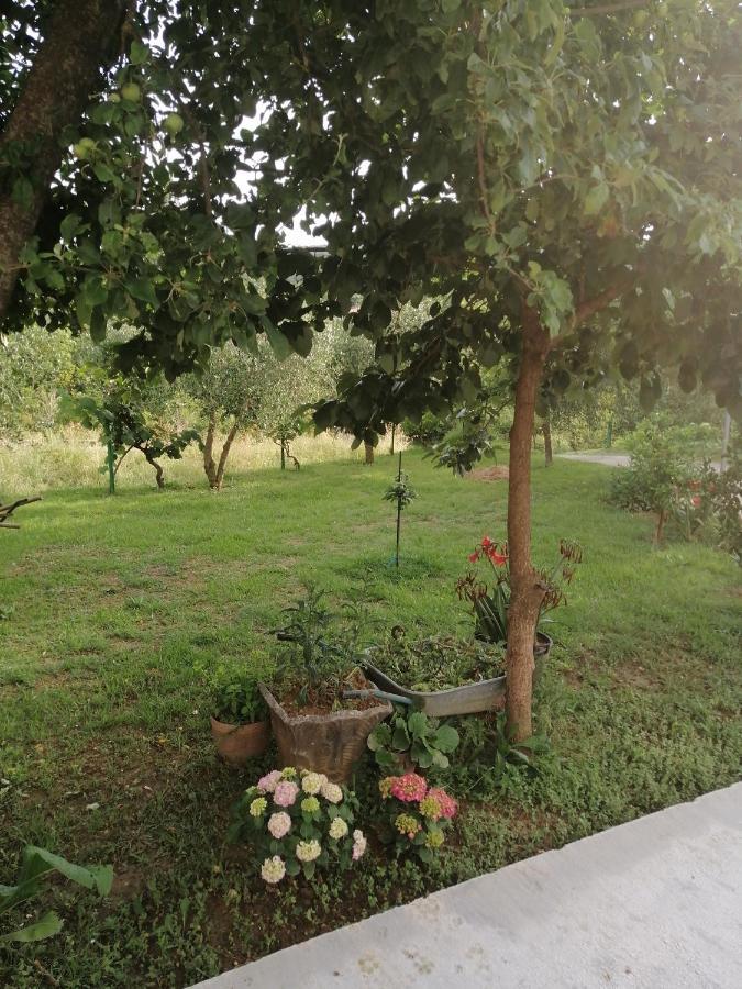 Apartman Petovic Kotor Luaran gambar