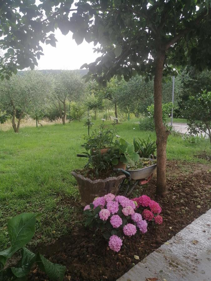 Apartman Petovic Kotor Luaran gambar