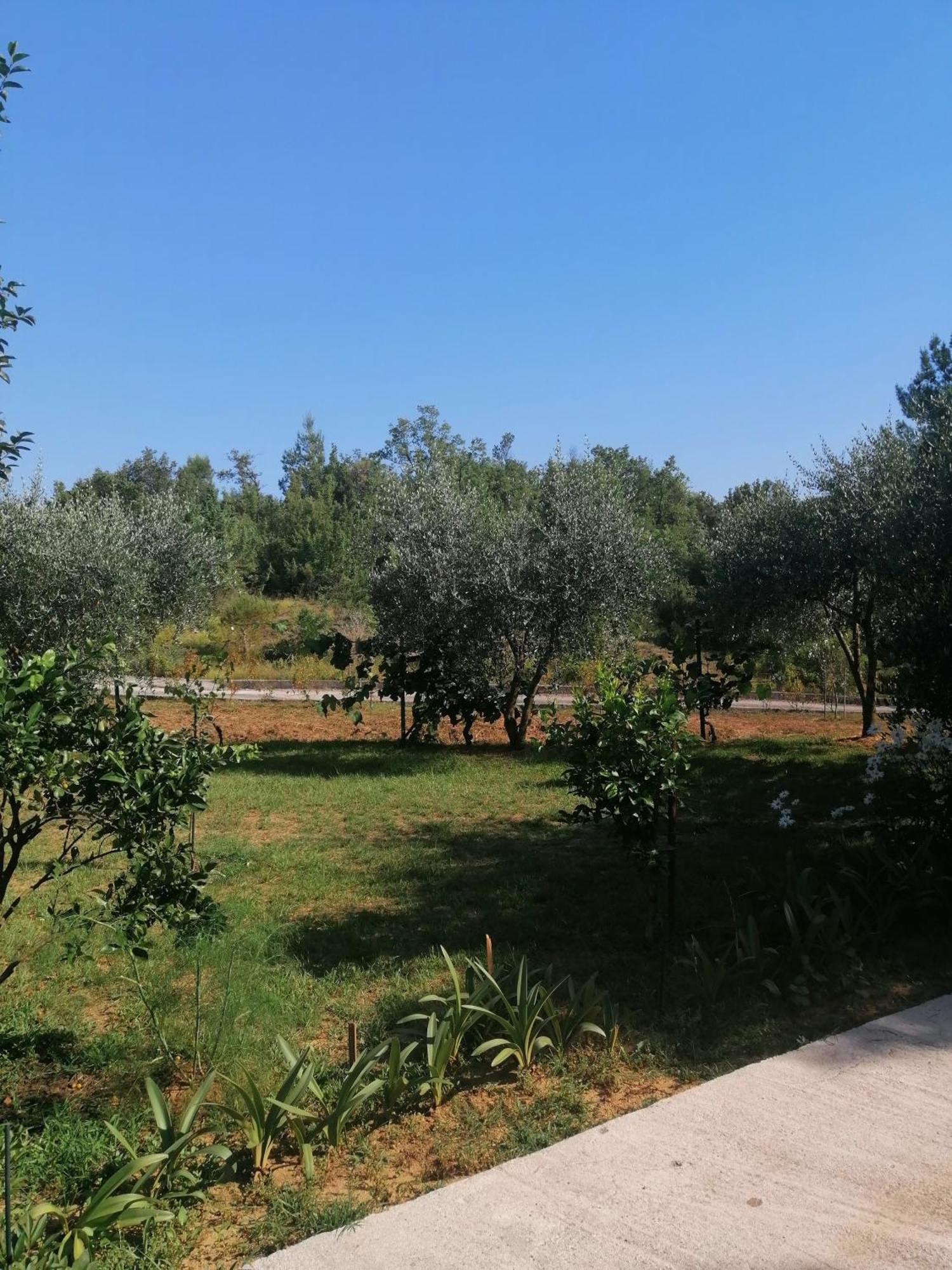 Apartman Petovic Kotor Luaran gambar